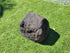 urn for cremated ashes