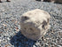 Memorial Rock Urn 2041 Regular Natural Riversand