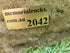 Memorial Rock Urn 2042 Large Double Natural Riversand