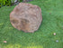 urn for ashes in a shape of a rock
