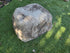 rock urn for ashes