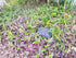 Memorial Rock Urn 971 Medium-Single