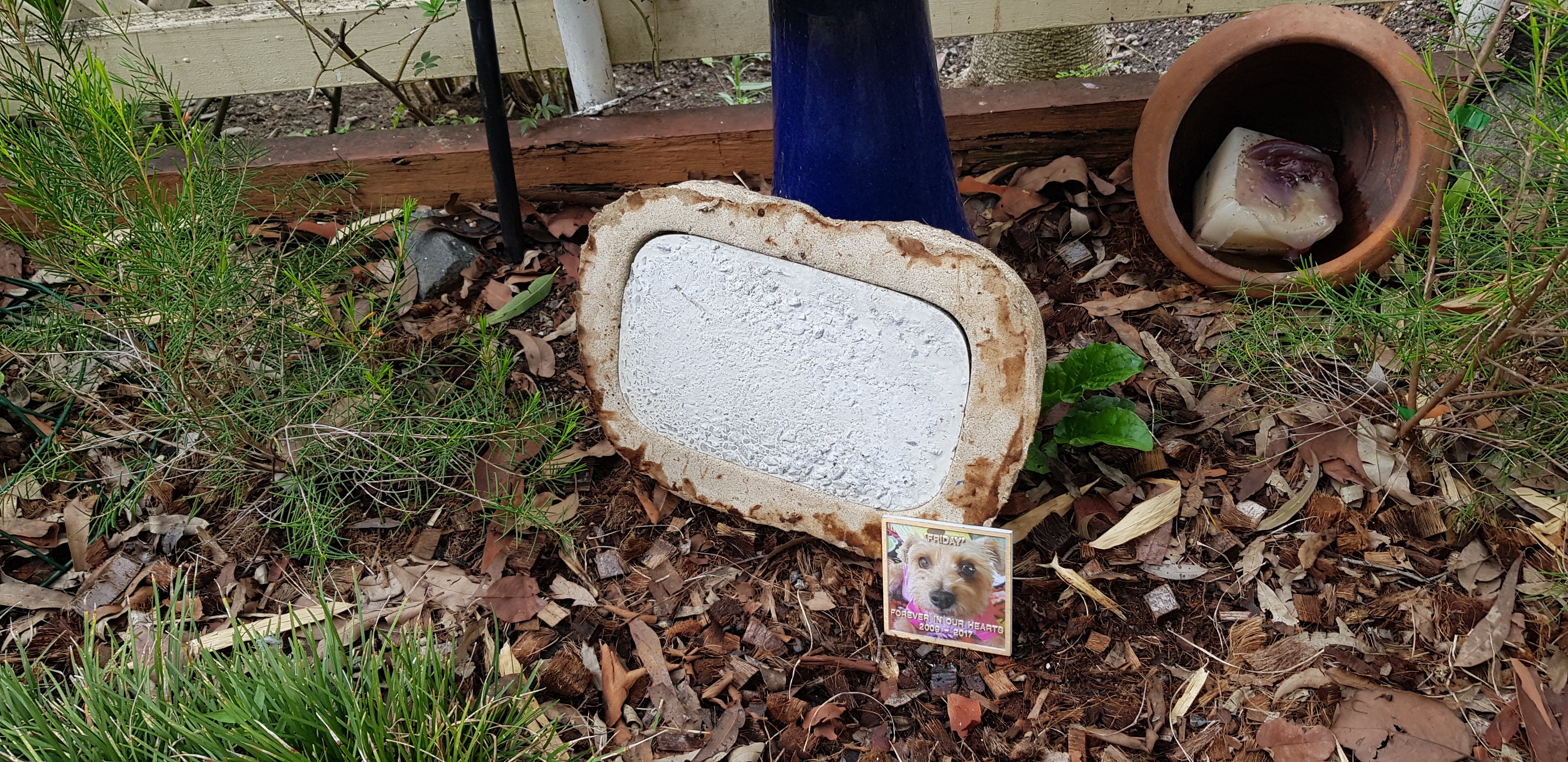 PET Memorial Rock Urn 1173